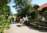 Wanderreiten im Bayerischen Wald - Urlaub mit Pferd